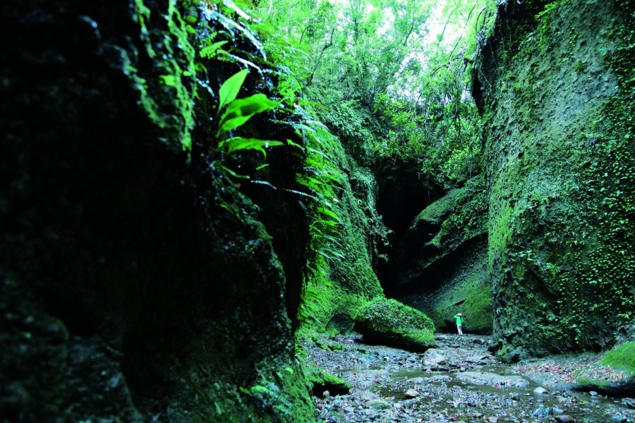 🏞️ 이오키 동굴(이오키도) 이미지 1